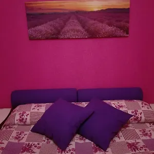 La Casa Di Rosco Appartement
